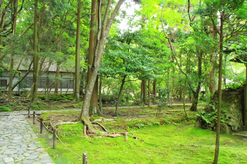 京都訪問ブログ6｜法然院11