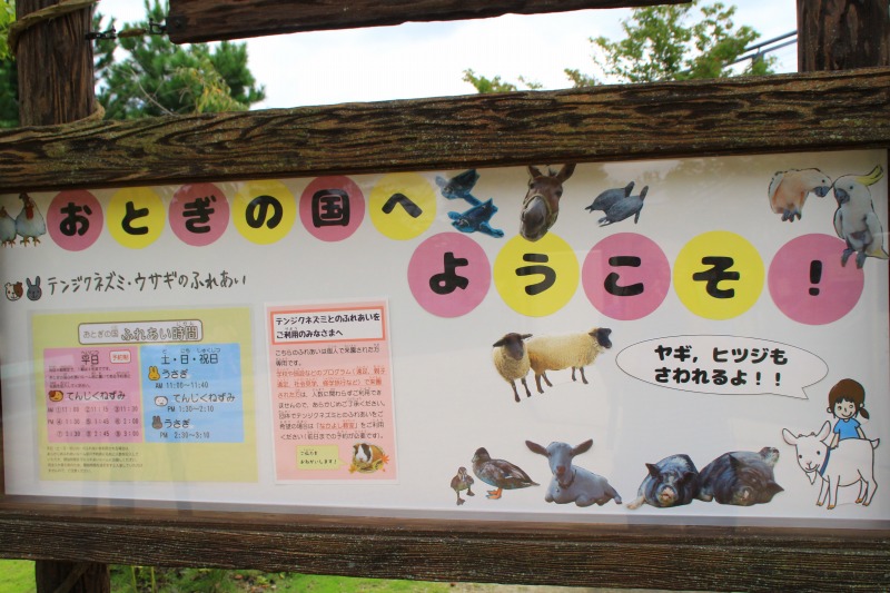 京都訪問ブログ13｜京都市動物園39
