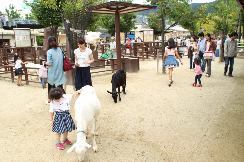 京都訪問ブログ13｜京都市動物園40