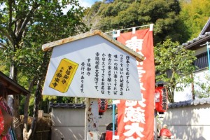 京都観光フォトブログ42｜鈴虫寺7