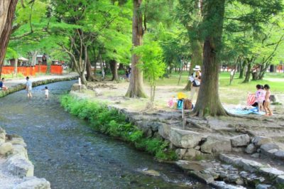 京都の川遊び 水遊びスポットヵ所へ行ってきた 私のおすすめランキング 京都の観光と子どもの遊び場150ヶ所以上の訪問体験記